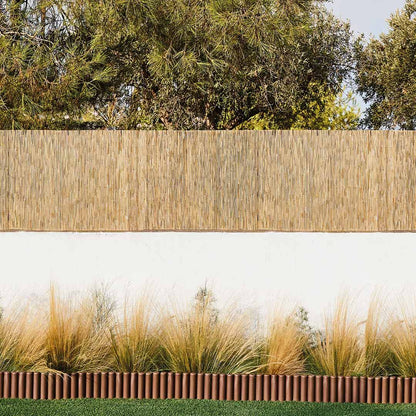 Cañizo Entero Varilla Media - Cañas Naturales Y Ecológicas 2x5 M / Multicolor_3