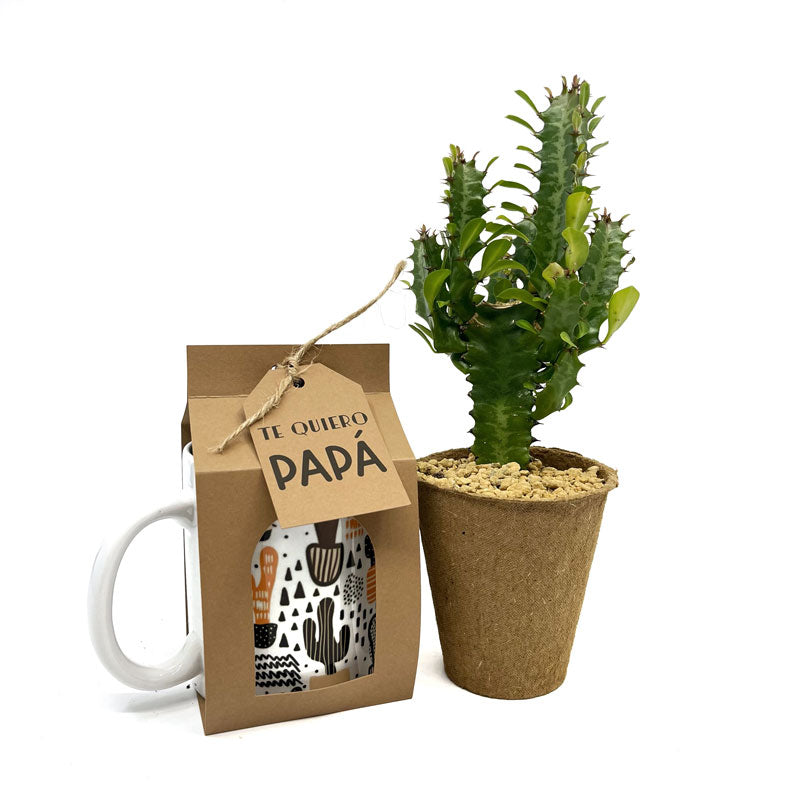Pack Regalo Día Del Padre Taza Cactus + Euphorbia_0