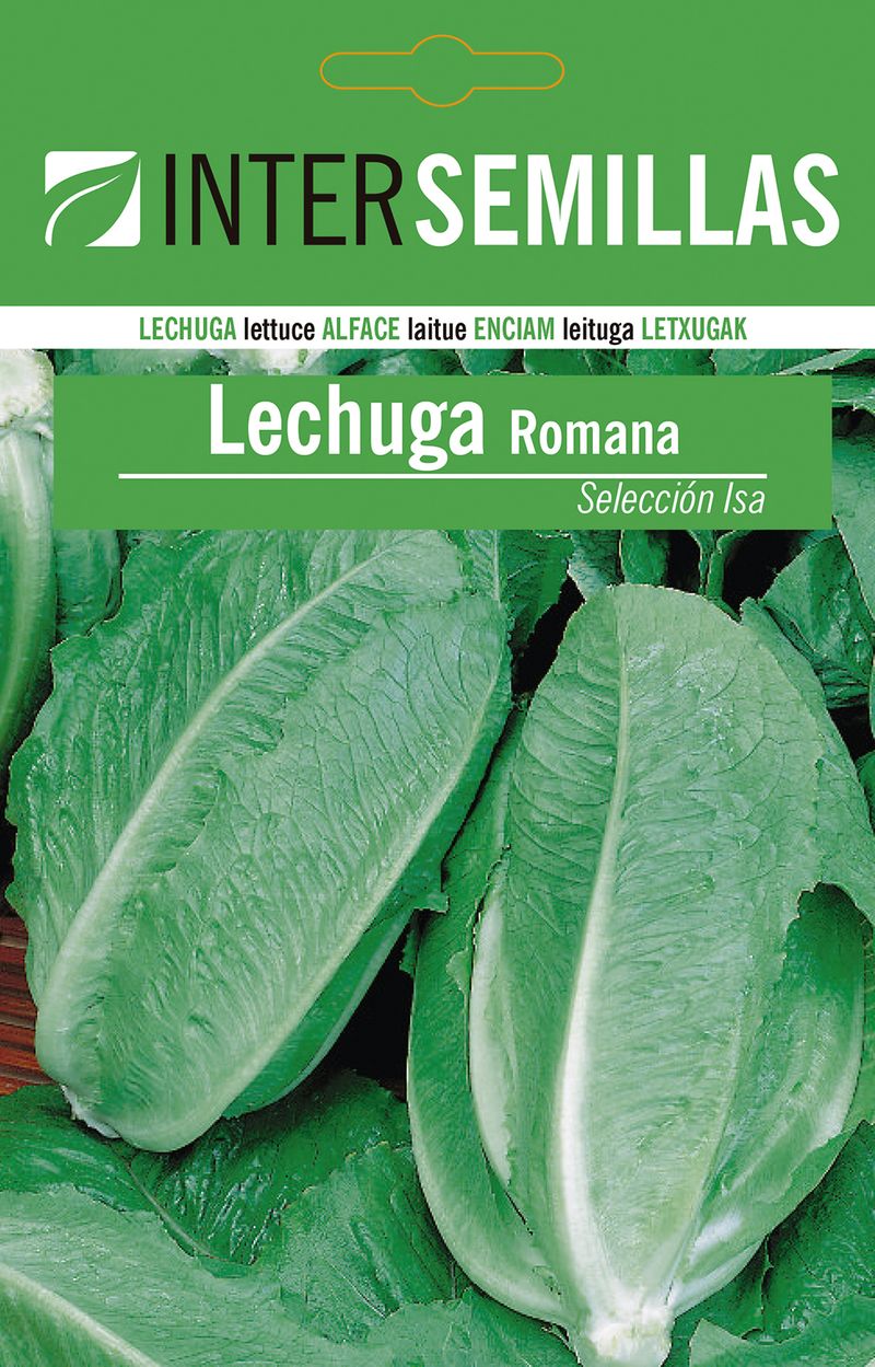 Sobre De Semillas De Lechuga Romana