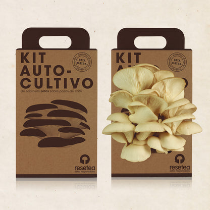 Kit Cultivo De Setas Ostra | Ingrediente Gourmet | Cultivo Fácil | Regalo Original | Resetea_2