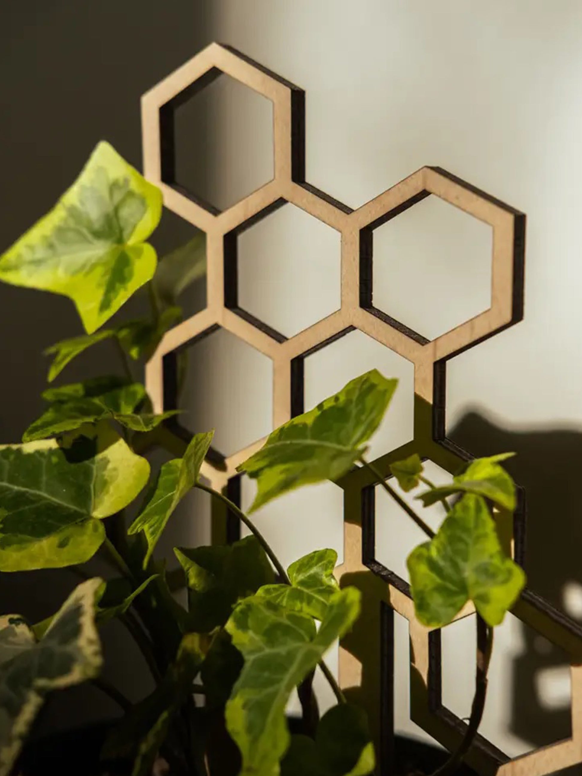 Tutor Nido De Abeja #3