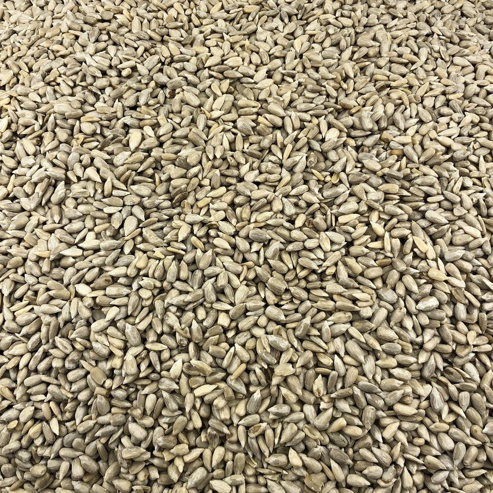 Semillas De Girasol Bio A Granel 0,5 Kg_2