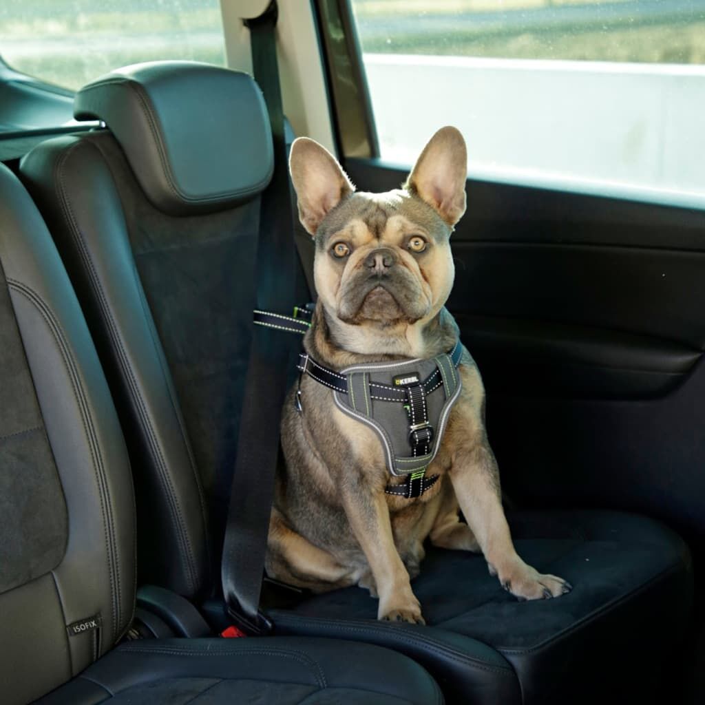 Kerbl Arnés De Seguridad De Coche Para Mascotas Negro 44-55 Cm_1