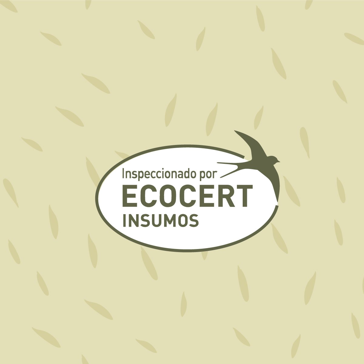 Cultivers Tierra De Diatomeas Ecológica Micronizada 2x1 Kg | Polvo Ultrafino De Origen Natural | Producto…_2