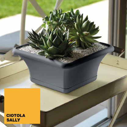 Maceta Cuadrada 24 Cm Con Platillo Gris