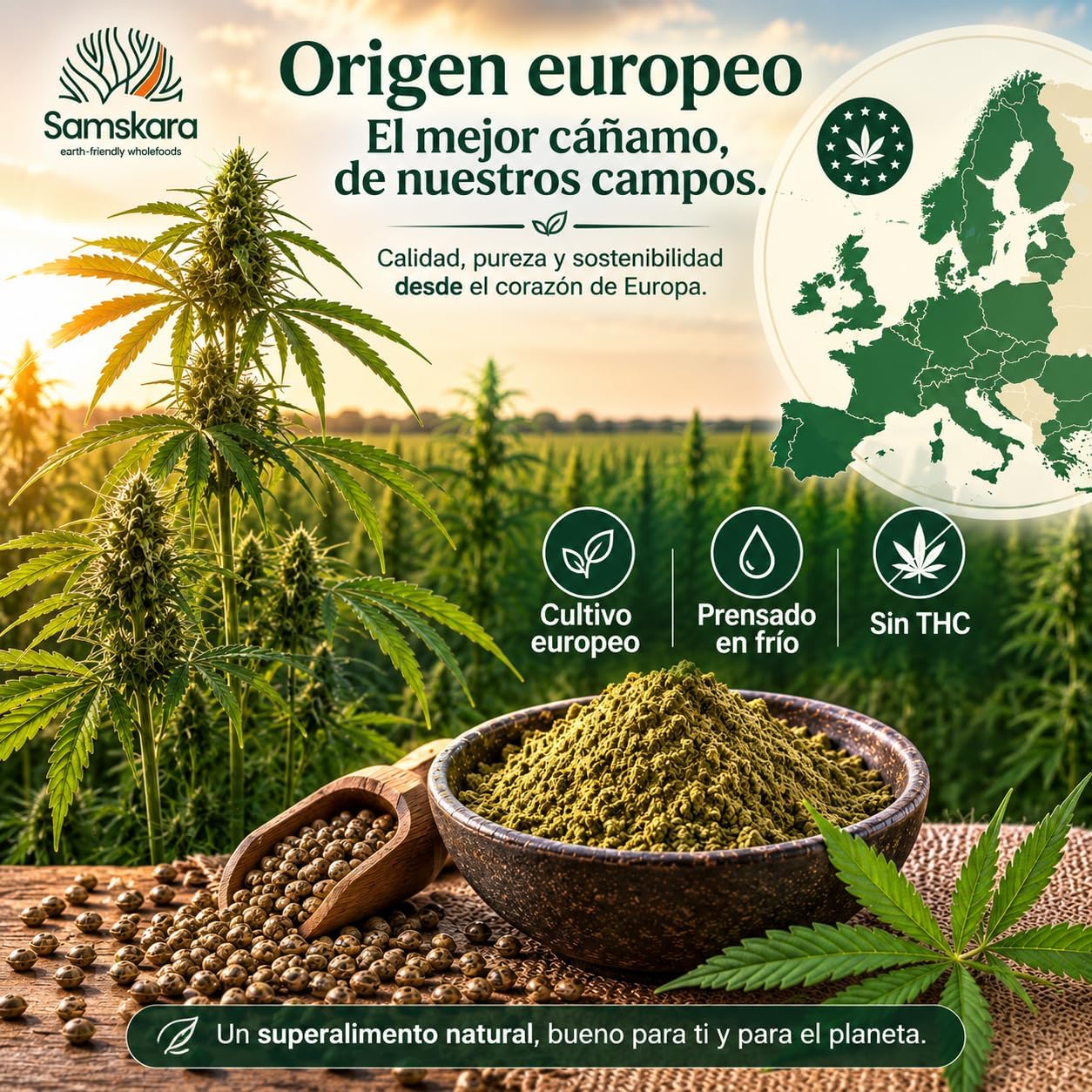 Proteína De Cáñamo Bio - 500g | Proteína Vegetal Ecológica Vegana Para Batidos Y Repostería, Sin Azúcares Añadidos_3