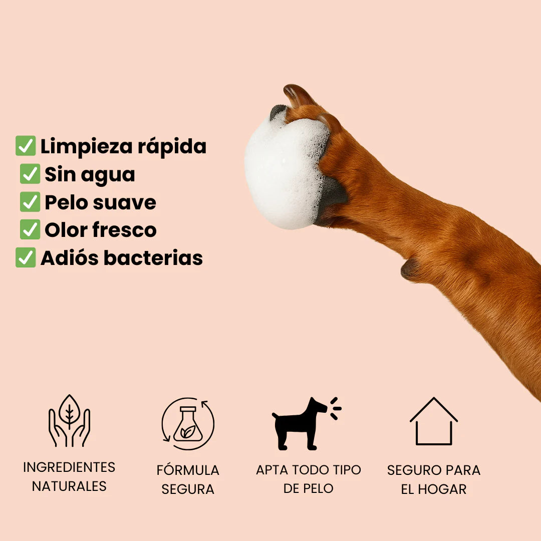 Champú seco para perros en espuma Masco Beauty 200 ml