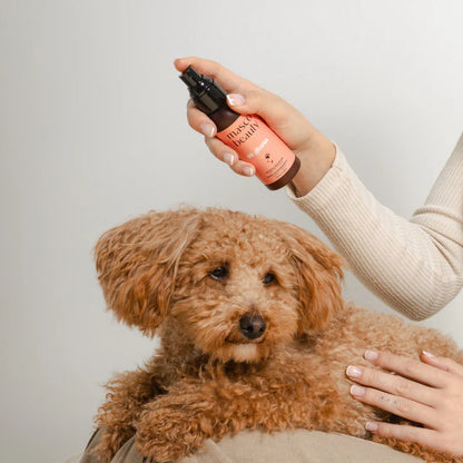 Spray desenredante para perros Masco Beauty 100 ml