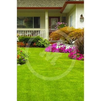 Césped Mezcla Espléndido Profesional