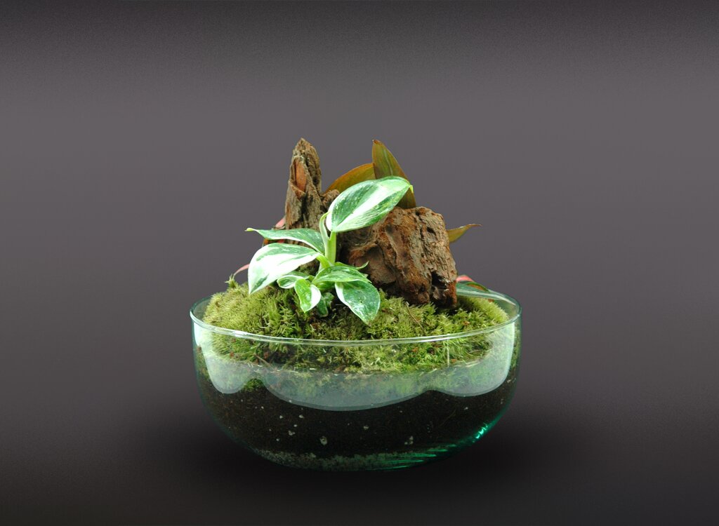 Nanogarden Terrario Ball Princess 20x20cm