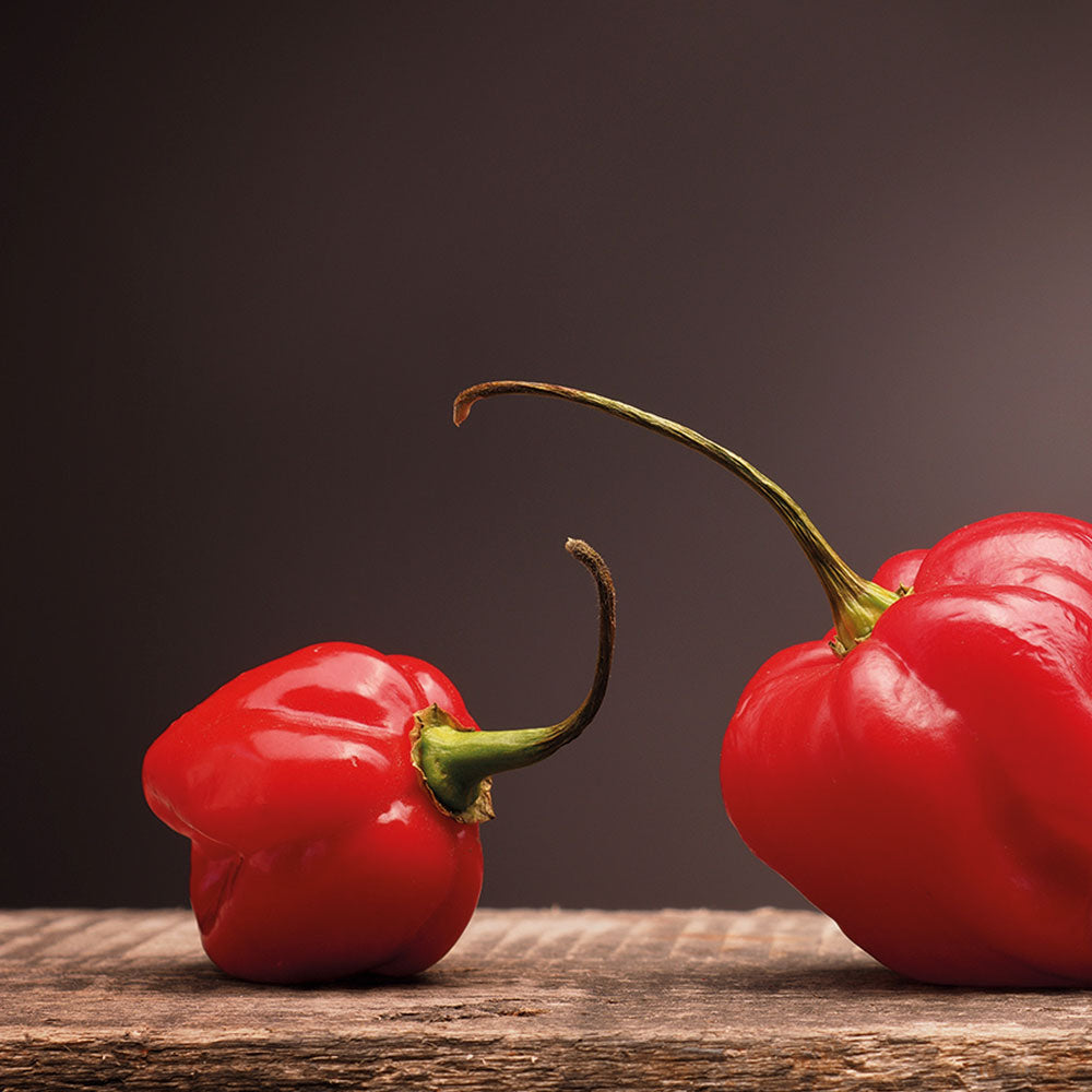 Kit De Autocultivo Habanero Red Caribbean | Pimiento Extra Picante (450.000 Shu)_3