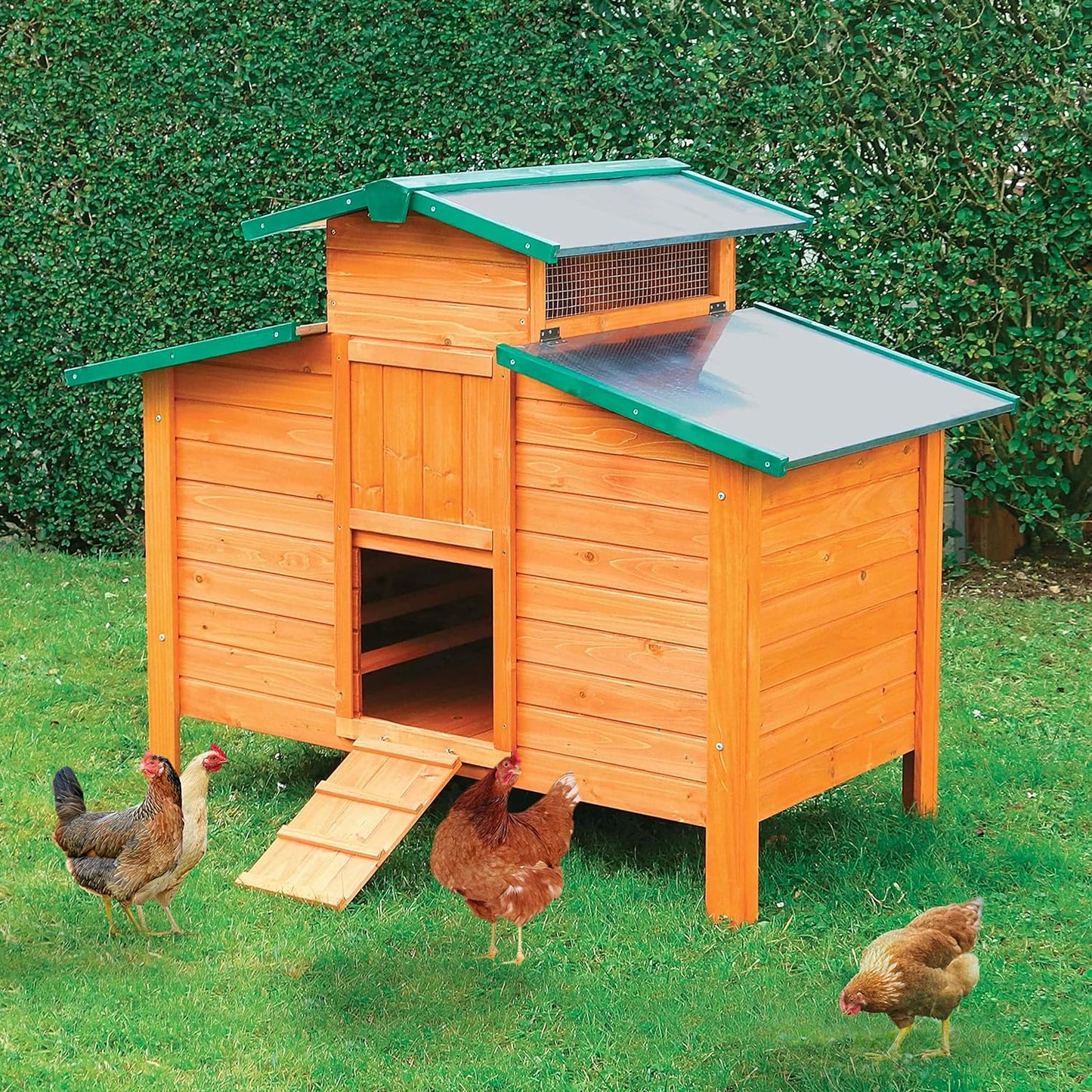 Gallinero De Madera Modelo Ottawa Para 5-7 Gallinas - Incluye Ponederos / Nidos_0