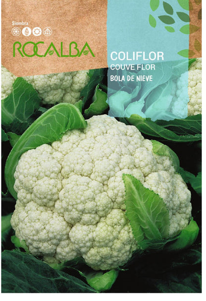 Semillas Coliflor Bola De Nieve 3g_0