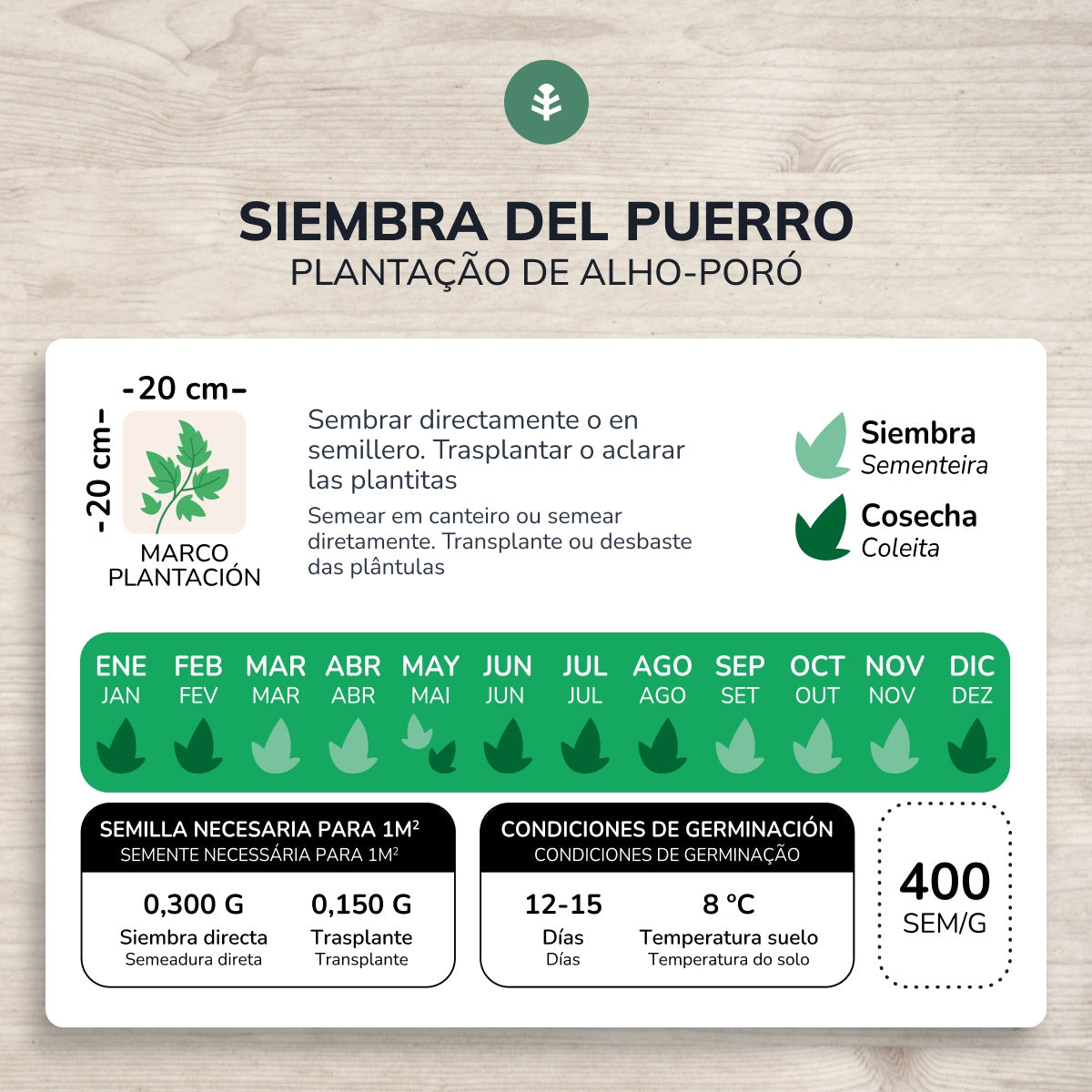 Semillas de Puerro grueso de Carentan ecológicas Planeta Huerto