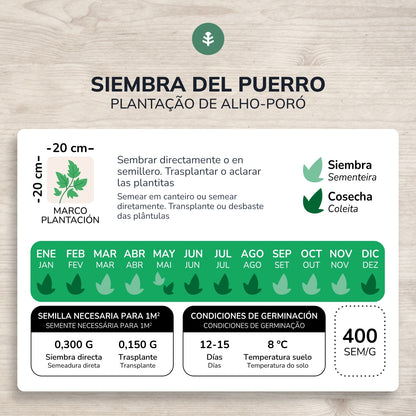 Semillas de Puerro grueso de Carentan ecológicas Planeta Huerto