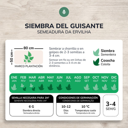 Semillas de Guisante rondo 1/2 enrame ecológicas Planeta Huerto