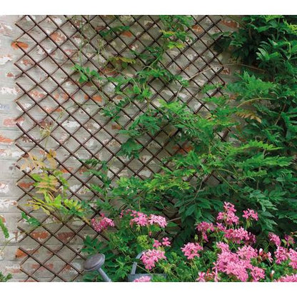 Celosía de mimbre extensible Trelliwillow Nortene 1 x 2 m