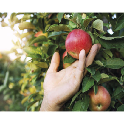 Sulfato De Cobre Cultivers 250 G_2