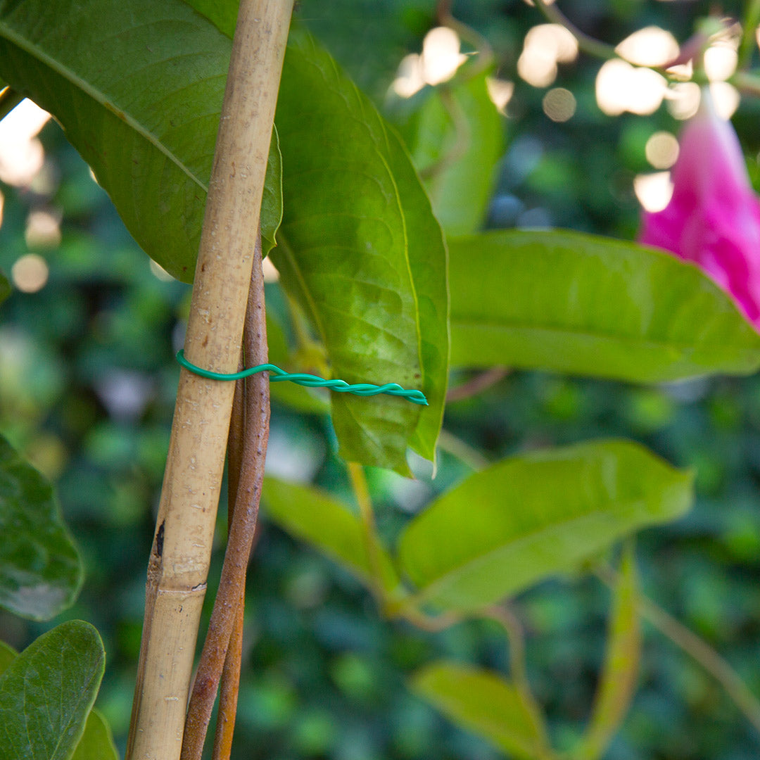 Tutores De Bambú Para Cultivo - Soporte Natural Y Ecológico 1.5 M / Multicolor_0