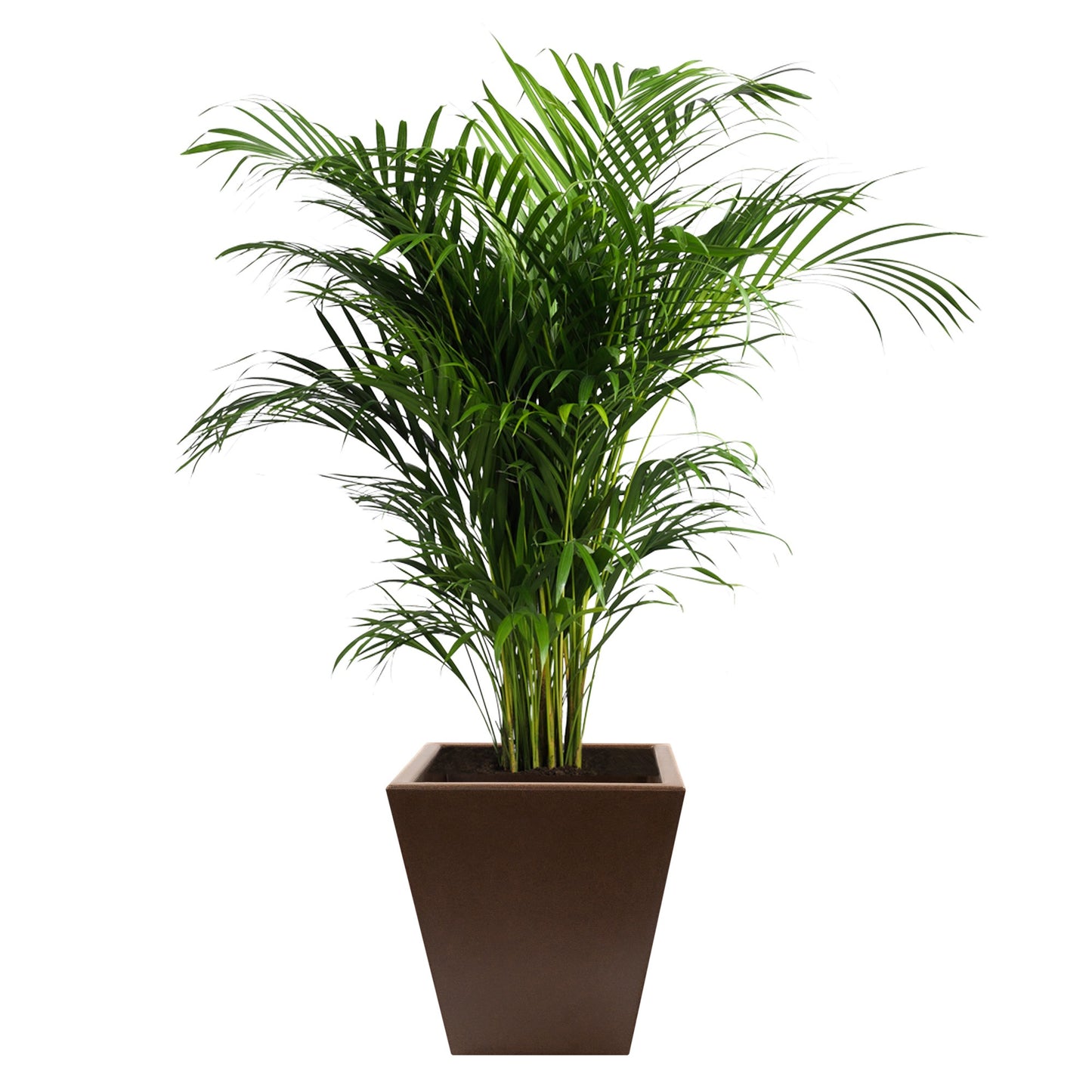 Macetero De Polietileno Por Rotomoldeo Color Bronce 40x40 Cm_2