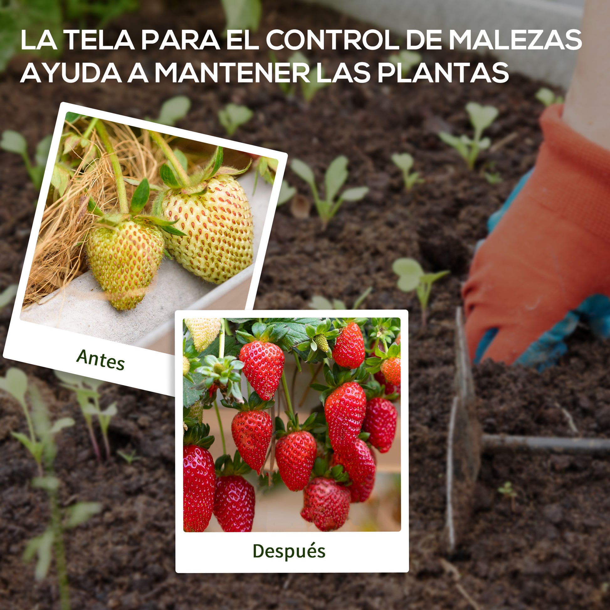Outsunny Malla Antimaleza 2x50 M 130 G/m² Para Control De Malezas Malas Negro_5
