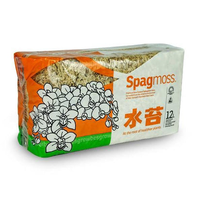 Sustrato musgo Sphagnum para bonsái 150 g