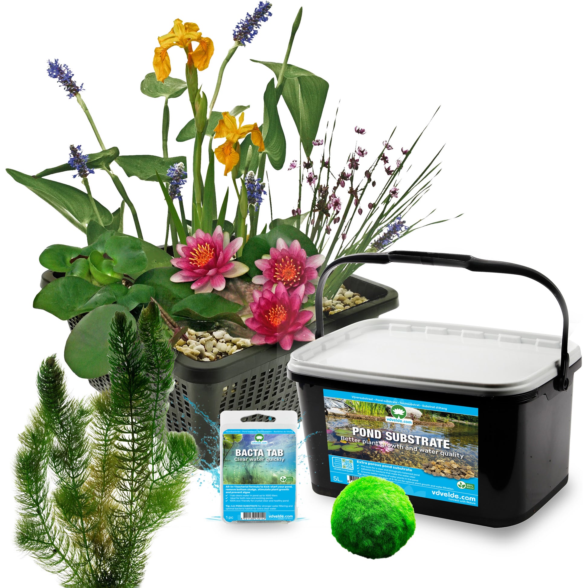 Mini Estanque Set Completo Rojo 25-90l - 11 Plantas Y Bacterias_2