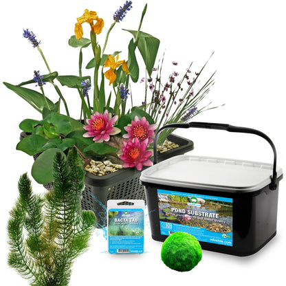 Mini Estanque Set Completo Rojo 25-90l - 11 Plantas Y Bacterias_2