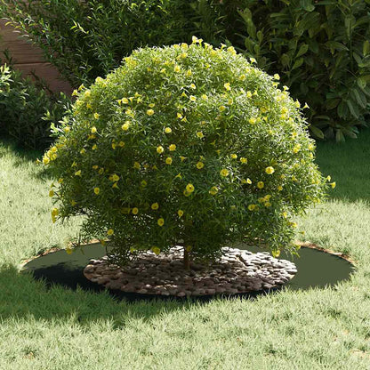 Adecuado Para Anillo De Árbol Plano Verde Oliva Ø50 / 80 Cm Acero_2