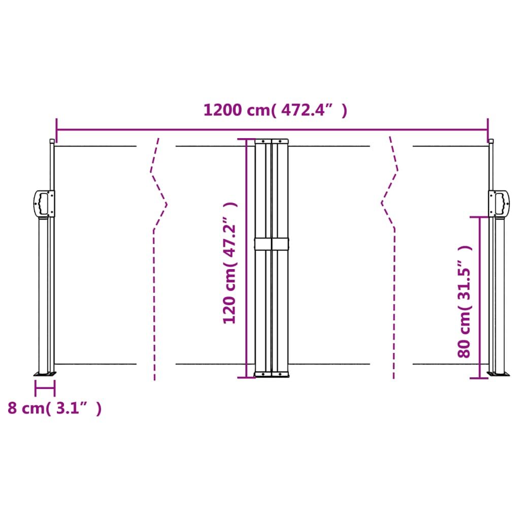 Vidaxl Toldo Lateral Retráctil Negro 120x1200 Cm_2