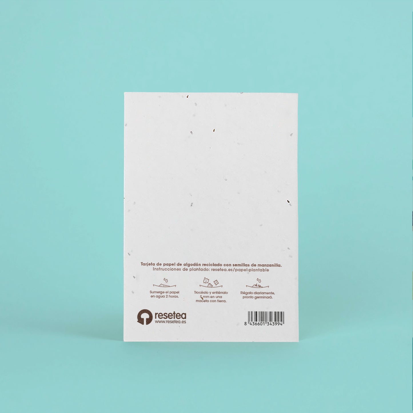 Postal Plantable Te Quiero Papá Con Semillas De Manzanilla – Detalle Original Que Florece Con Amor | Resetea_1
