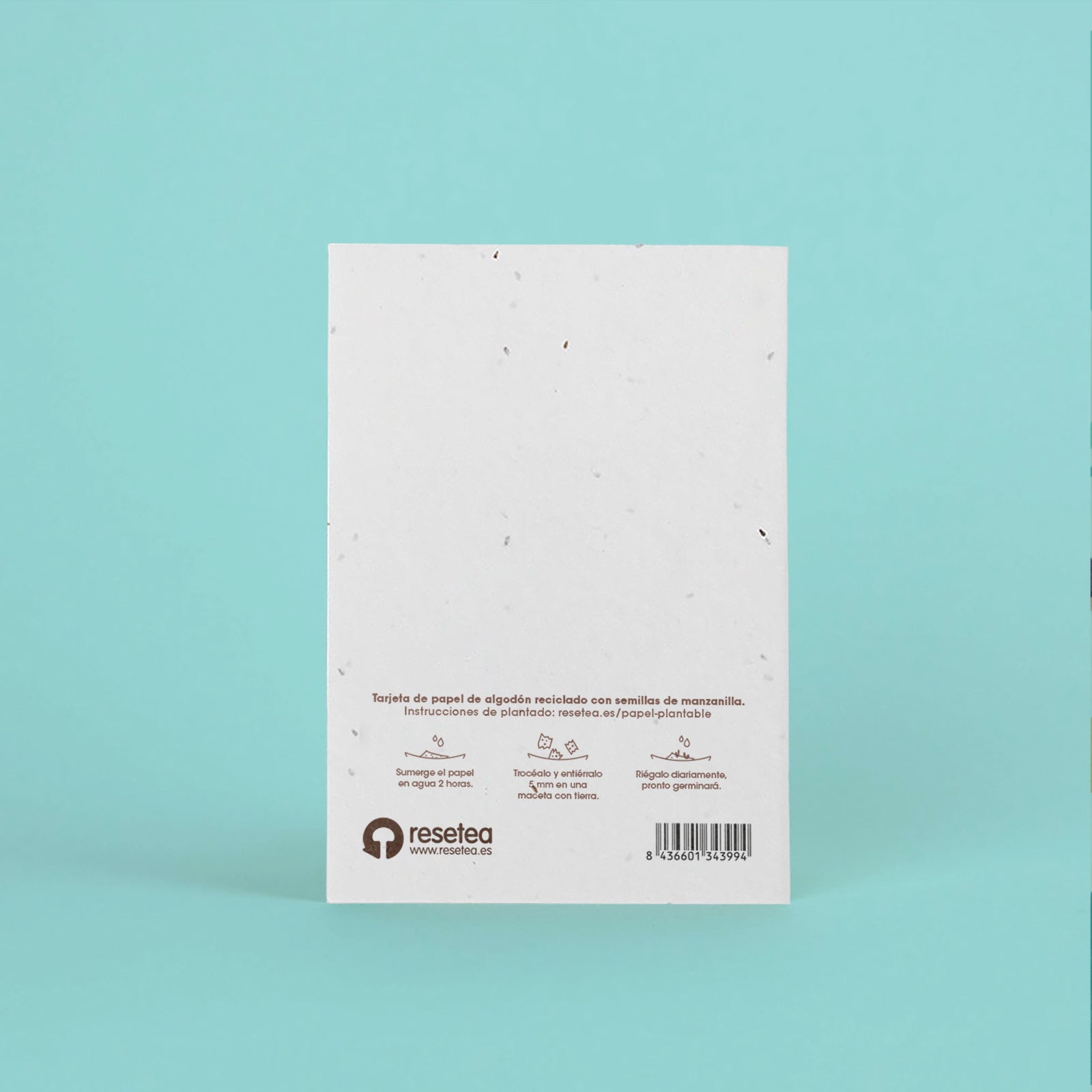 Postal Plantable Te Quiero Papá Con Semillas De Manzanilla – Detalle Original Que Florece Con Amor | Resetea_1