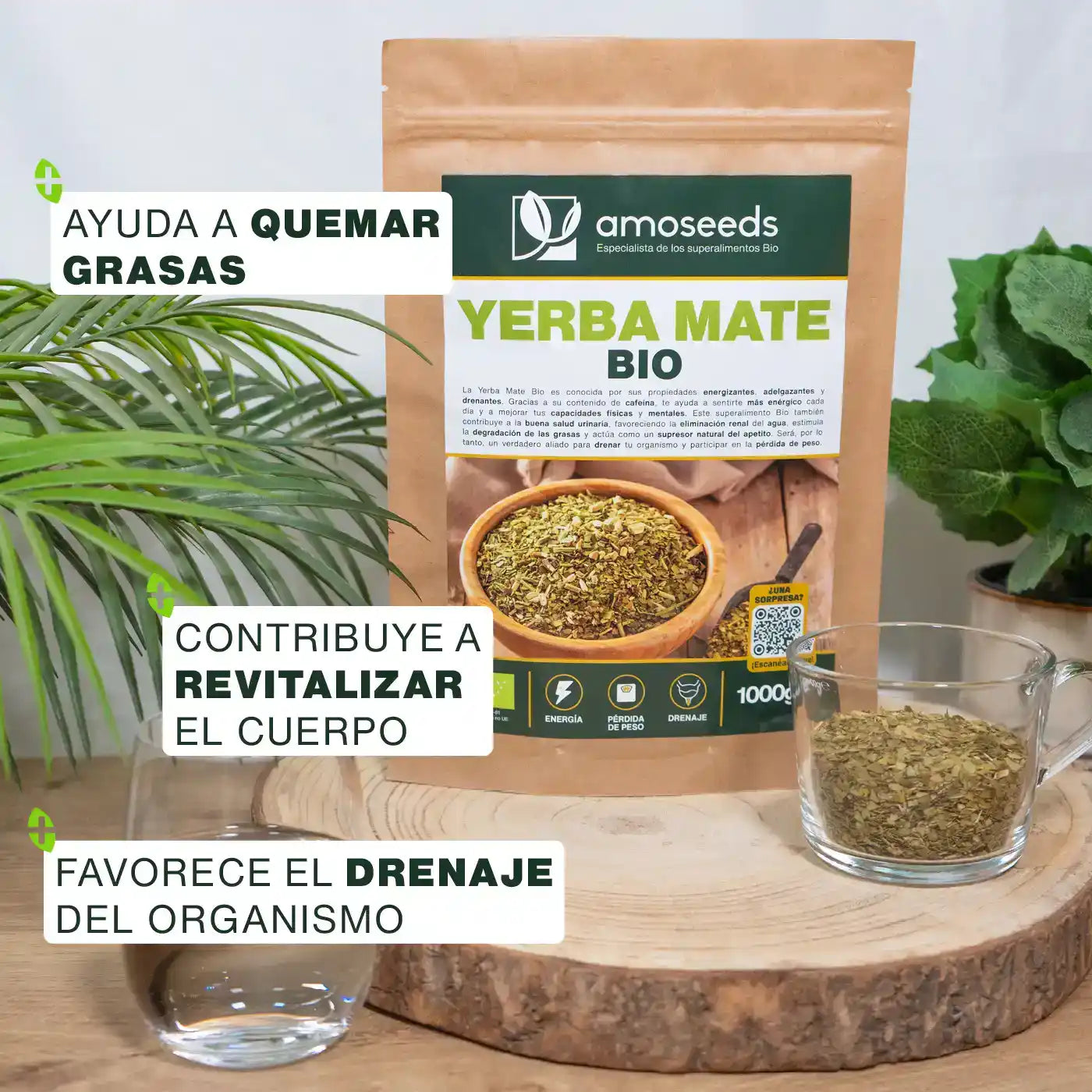 Yerba Mate Bio 1kg_3