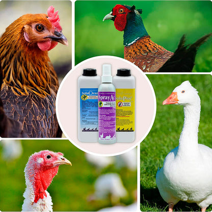 Pack De Productos Limpieza Y Desinfección Del Gallinero - Previene Piojos Y Ácaros - Productos Naturales - 500 Ml_4