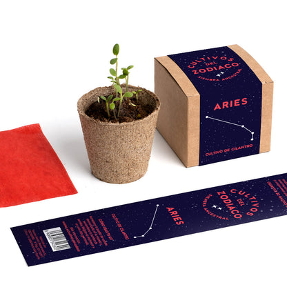 Cultivos Del Zodiaco – Aries | Kit De Cultivo Con Semillas De Cilantro_4
