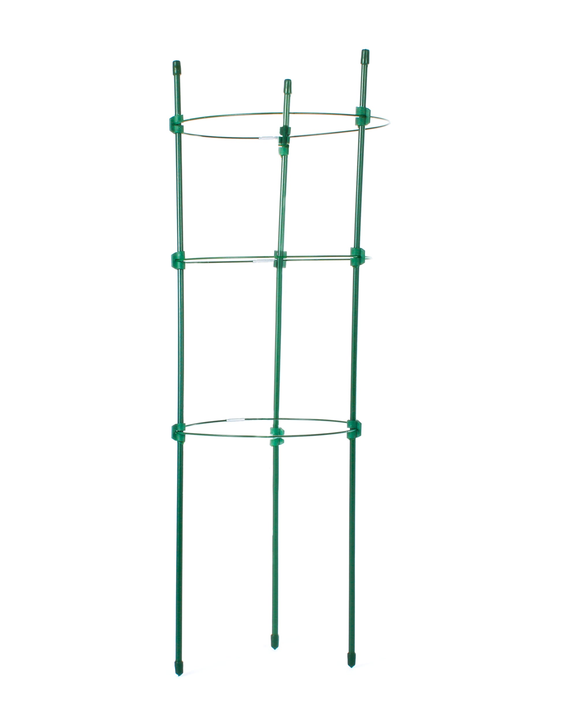 Tutor Circular De 45 Cm