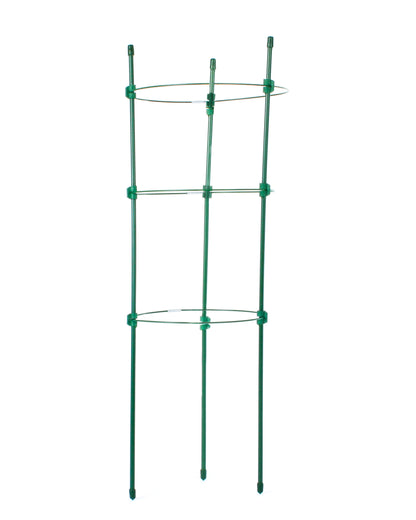 Tutor Circular De 45 Cm