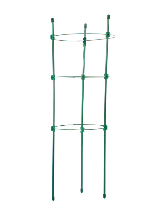 Tutor Circular De 45 Cm