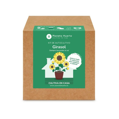 Kit de autocultivo Girasol Planeta Huerto