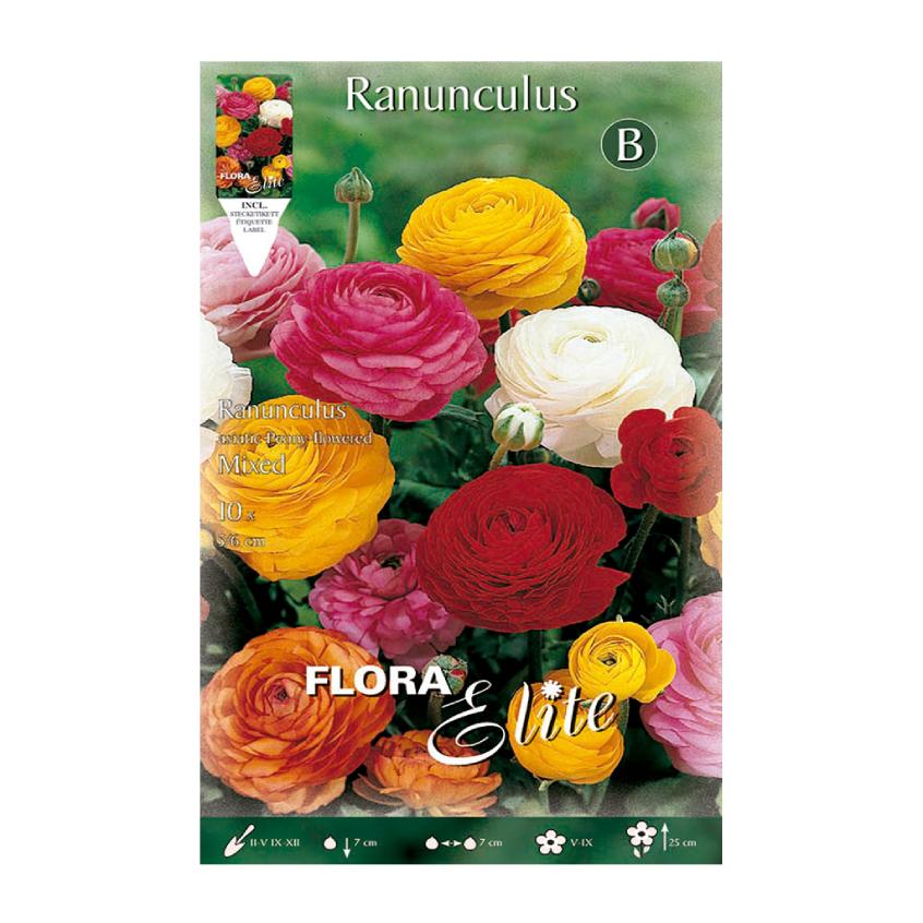Bulbos Ranúnculo mezcla 10 uds