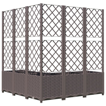 Jardinera Con Enrejado Pp Marrón 120x120x136 Cm_2