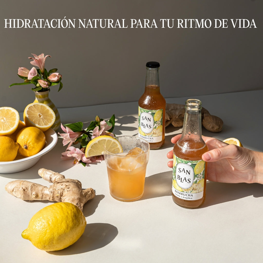 Kombucha Ecologica Sin Azúcar | Pack 12 Botellas X 250 Ml | Artesana Sin Pasteurizar | 4 Sabores_1