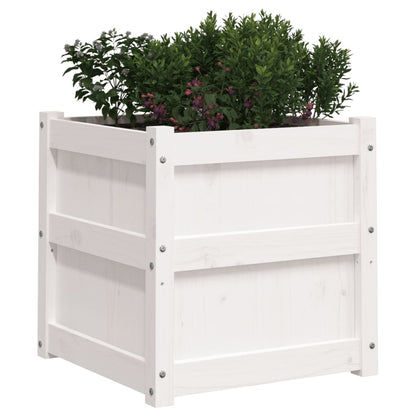 Jardinera Madera Maciza De Pino Blanco 50x50x50 Cm_3
