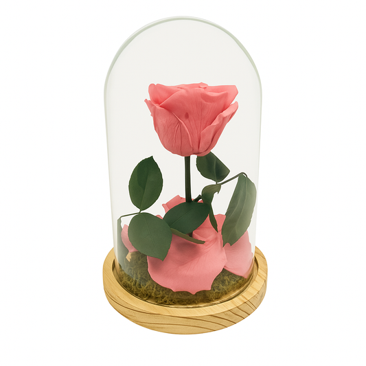 Mundo Eterno Rosa En Cúpula Rosa Vintage (dusty Pink) 12x20cm_0