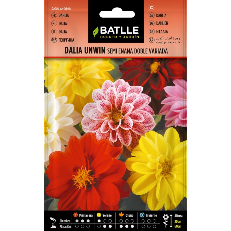 Semillas de Dalia Unwin semi enana doble variada Batlle