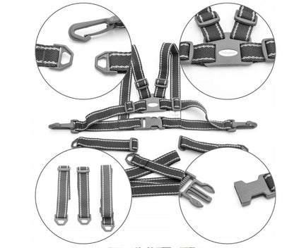 Arnés Andador Primeros Pasos First Steps