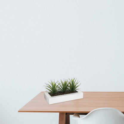 Centro De Mesa - 3 Aloe Vera - Altura  17 Cm