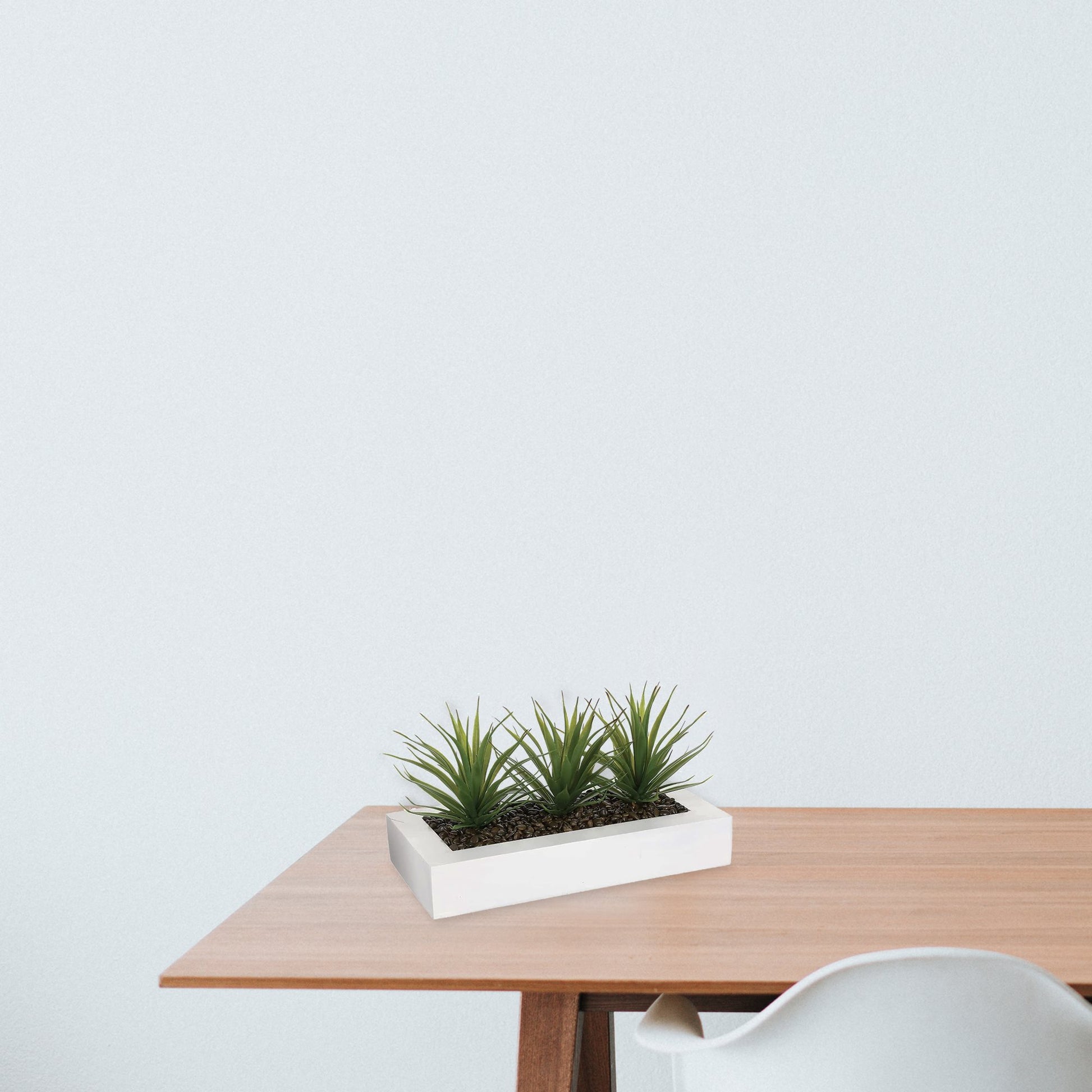 Centro De Mesa - 3 Aloe Vera - Altura  17 Cm_4