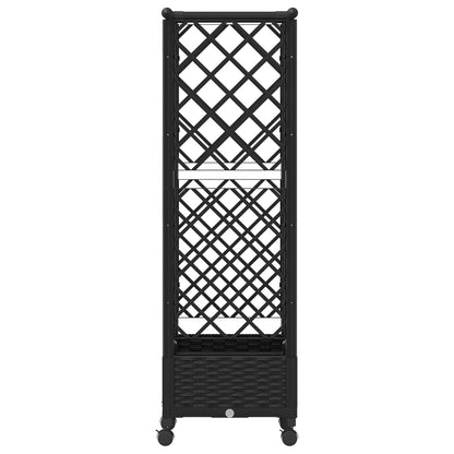 Cama Elevada Con Trellis Y Techo Negro 122,5 X 40 X 127 Cm Pp_4