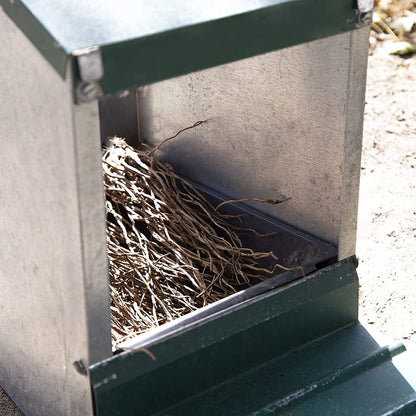 Fibra Vegetal Antipiojos Para Nidos De Paloma, Gallina Y Otras Aves - Ponederos Libres De Piojos Y Chinches_3